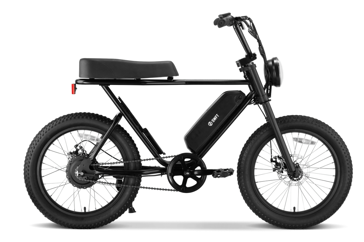 All-Terrain Fat Tire Electric Bike E6546
