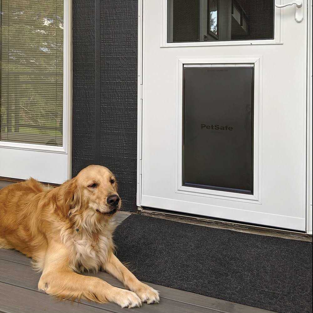 Pet Storm Door J2601
