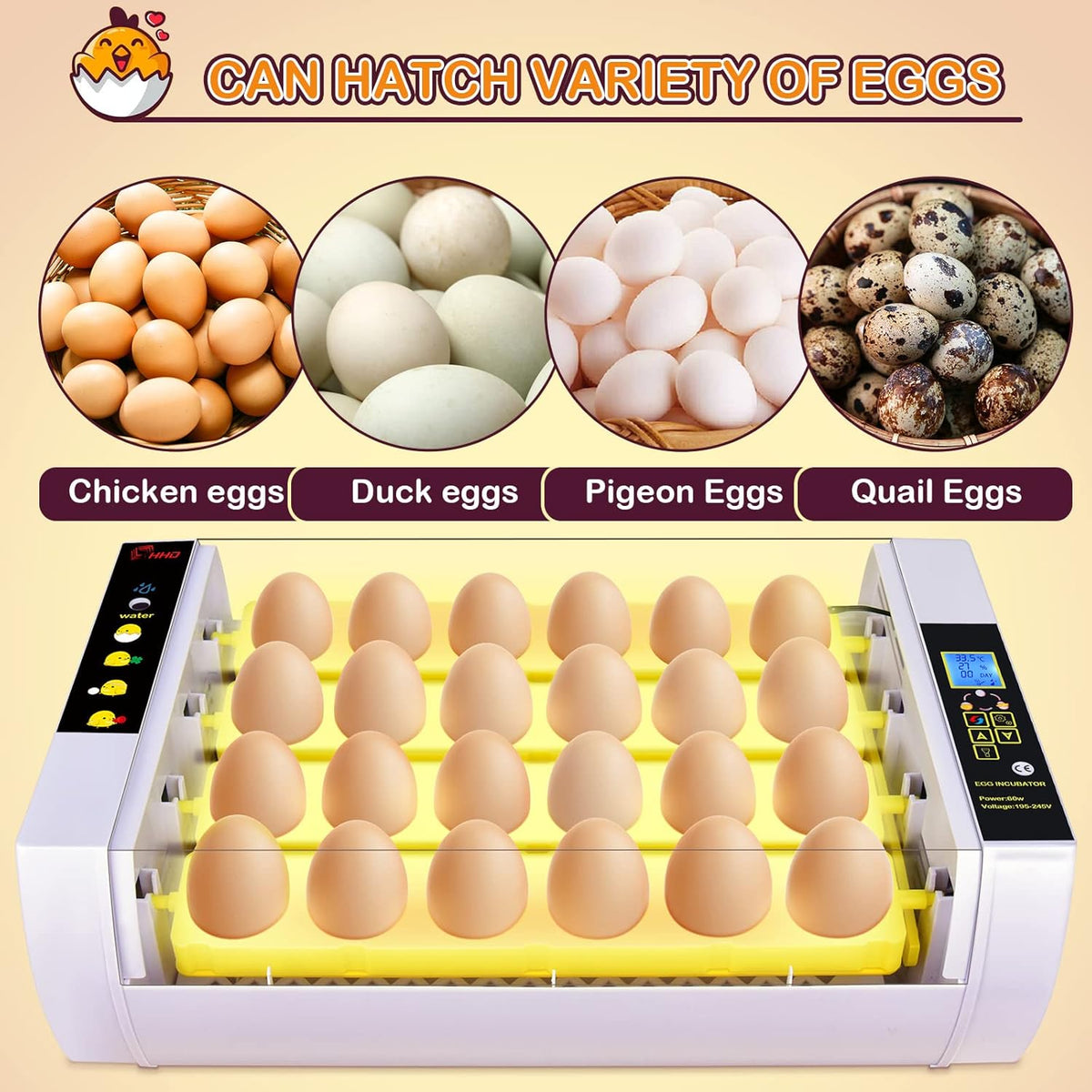 24 Eggs Incubator with Automatic Turning Temperature and Humidity Control Pack of 2 B2639