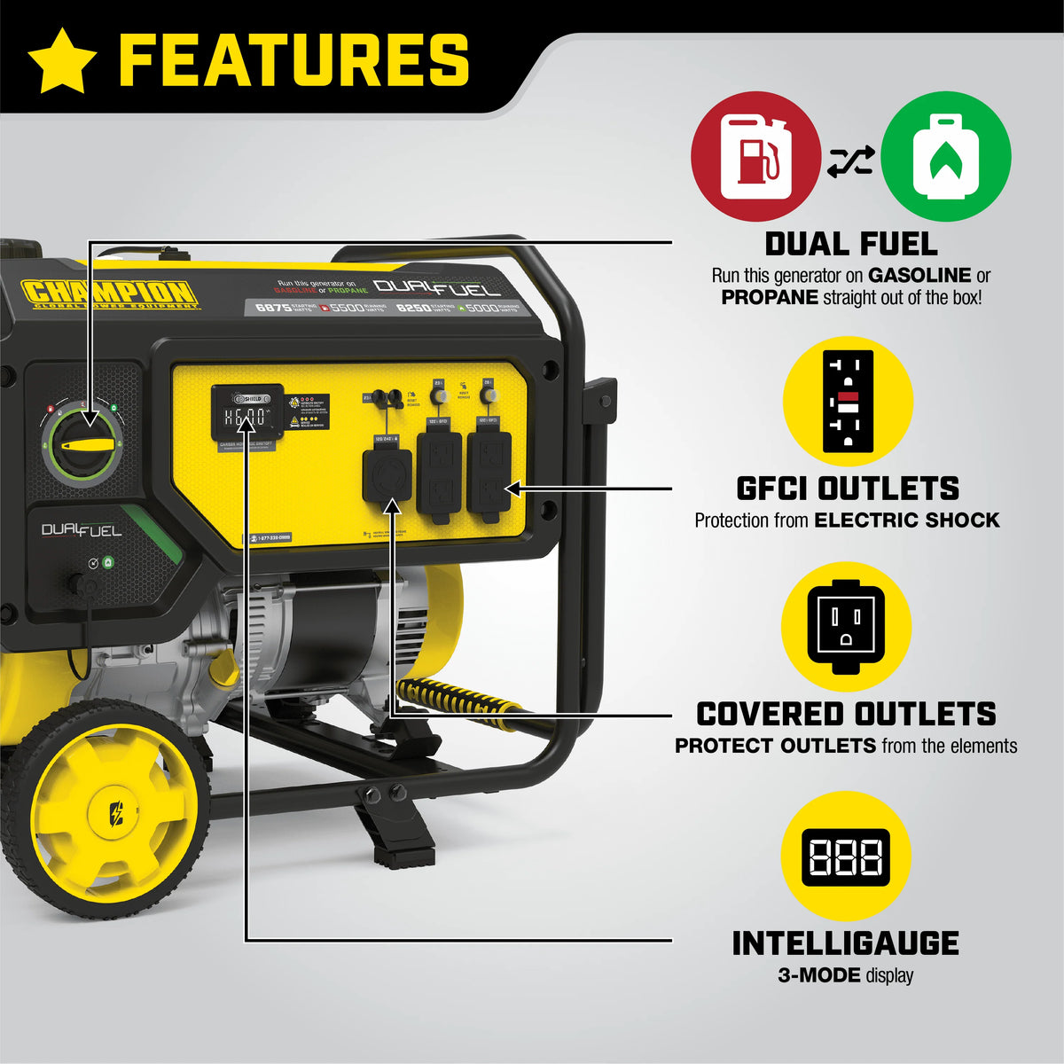 5500-Watt Dual Fuel Portable Generator D842780