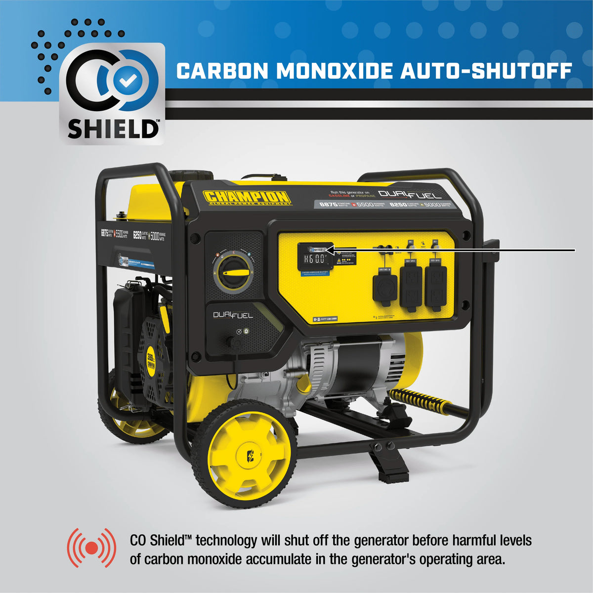 5500-Watt Dual Fuel Portable Generator D842780