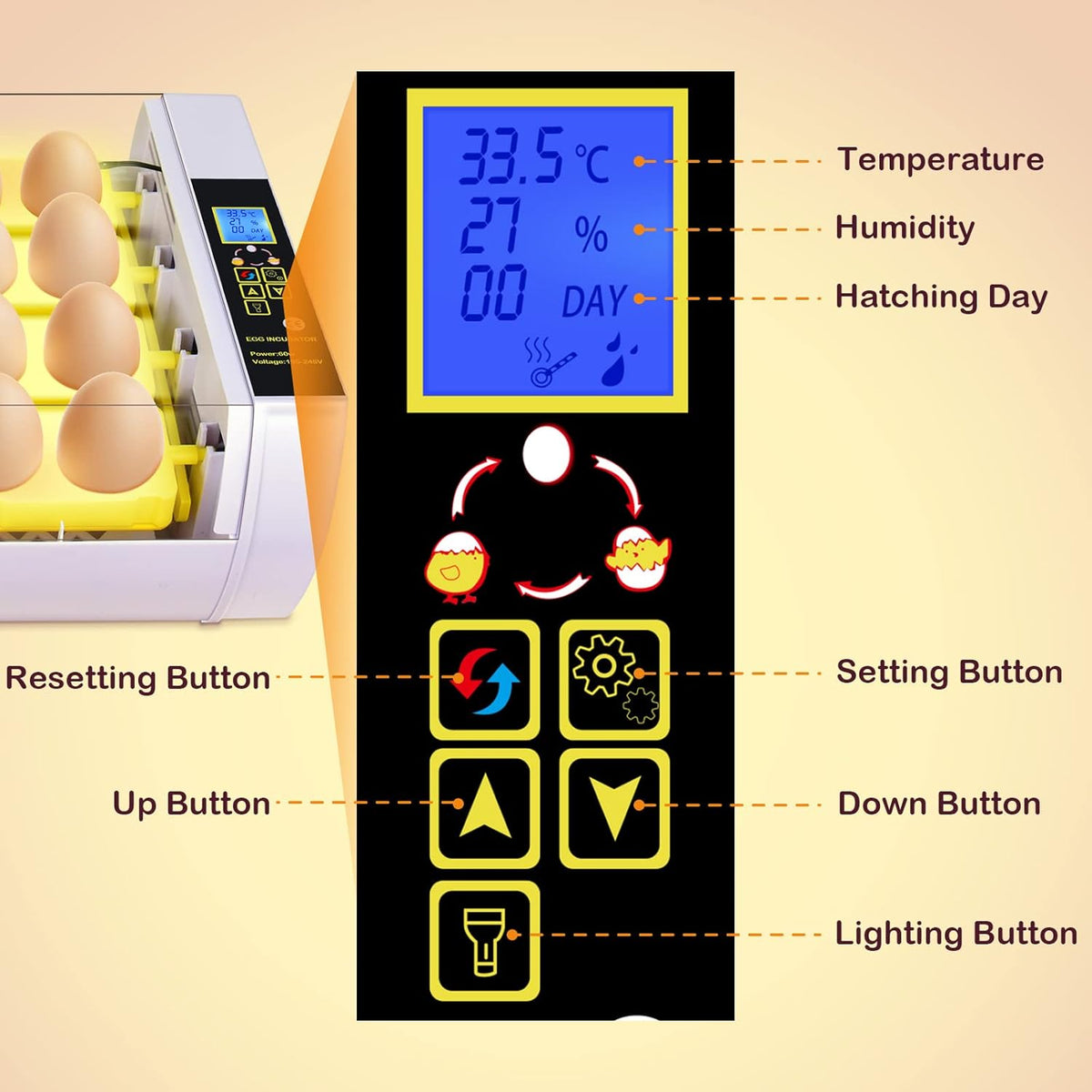 24 Eggs Incubator with Automatic Turning Temperature and Humidity Control Pack of 2 B2639