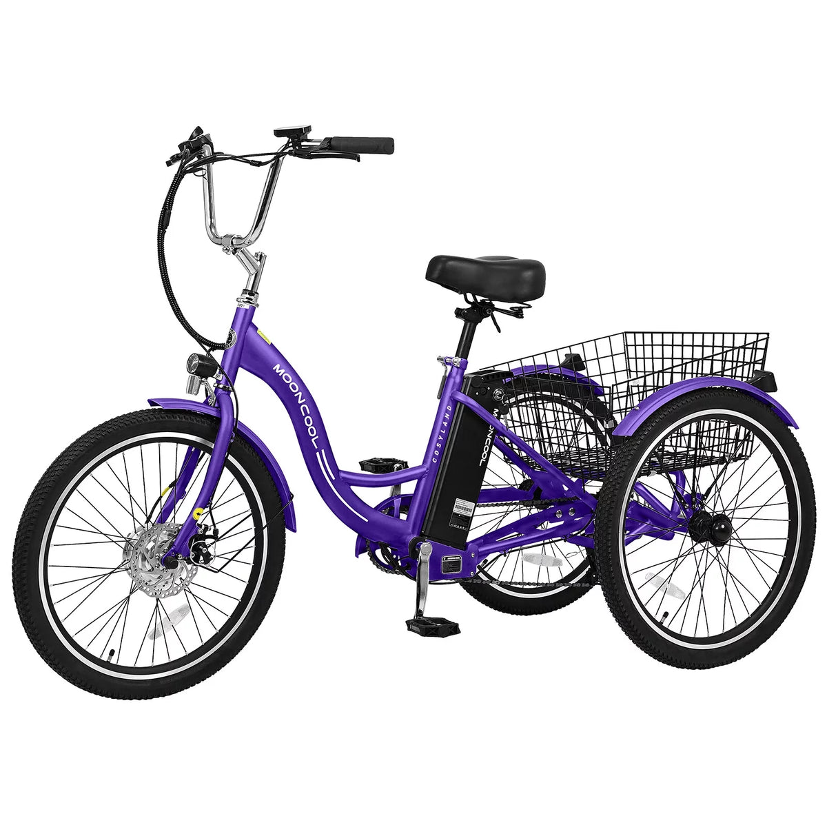 3 Wheel Electric Bike with Removable 36V 10Ah Lithium Battery Y854536