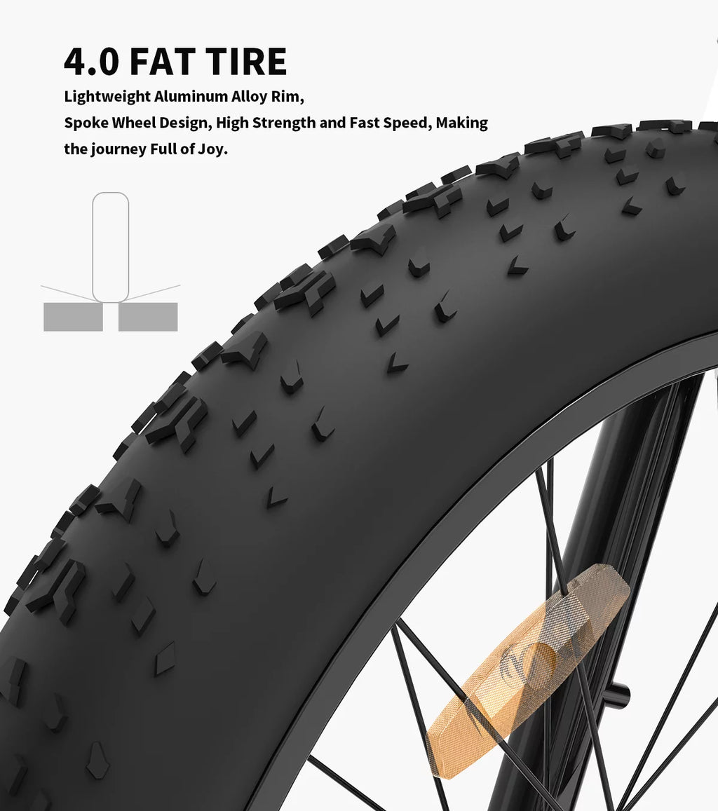 750W 48V 13AH Fat Tire Electric Mountain Bike I33270