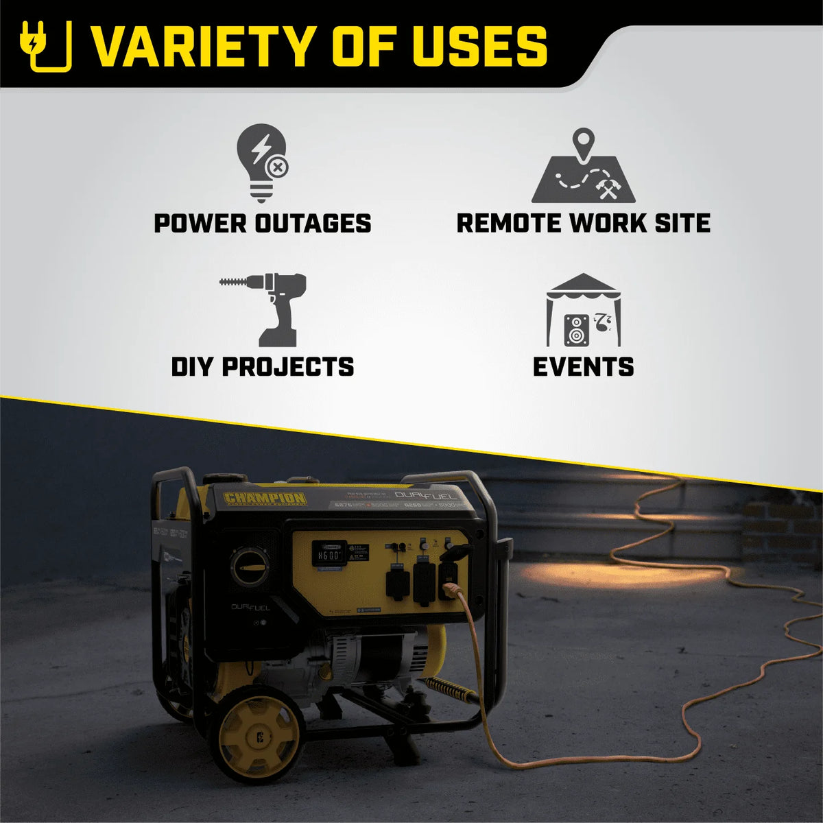 5500-Watt Dual Fuel Portable Generator D842780