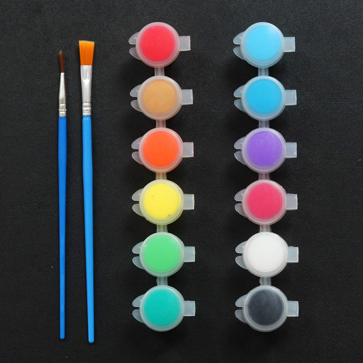 24 Pack Acrylic Paint Sets 12 Colors with 2 Brushes E436558