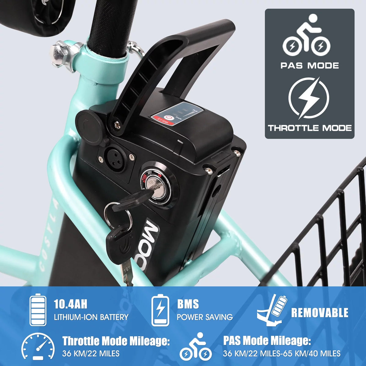 3 Wheel Electric Bike with Removable 36V 10Ah Lithium Battery Y854536