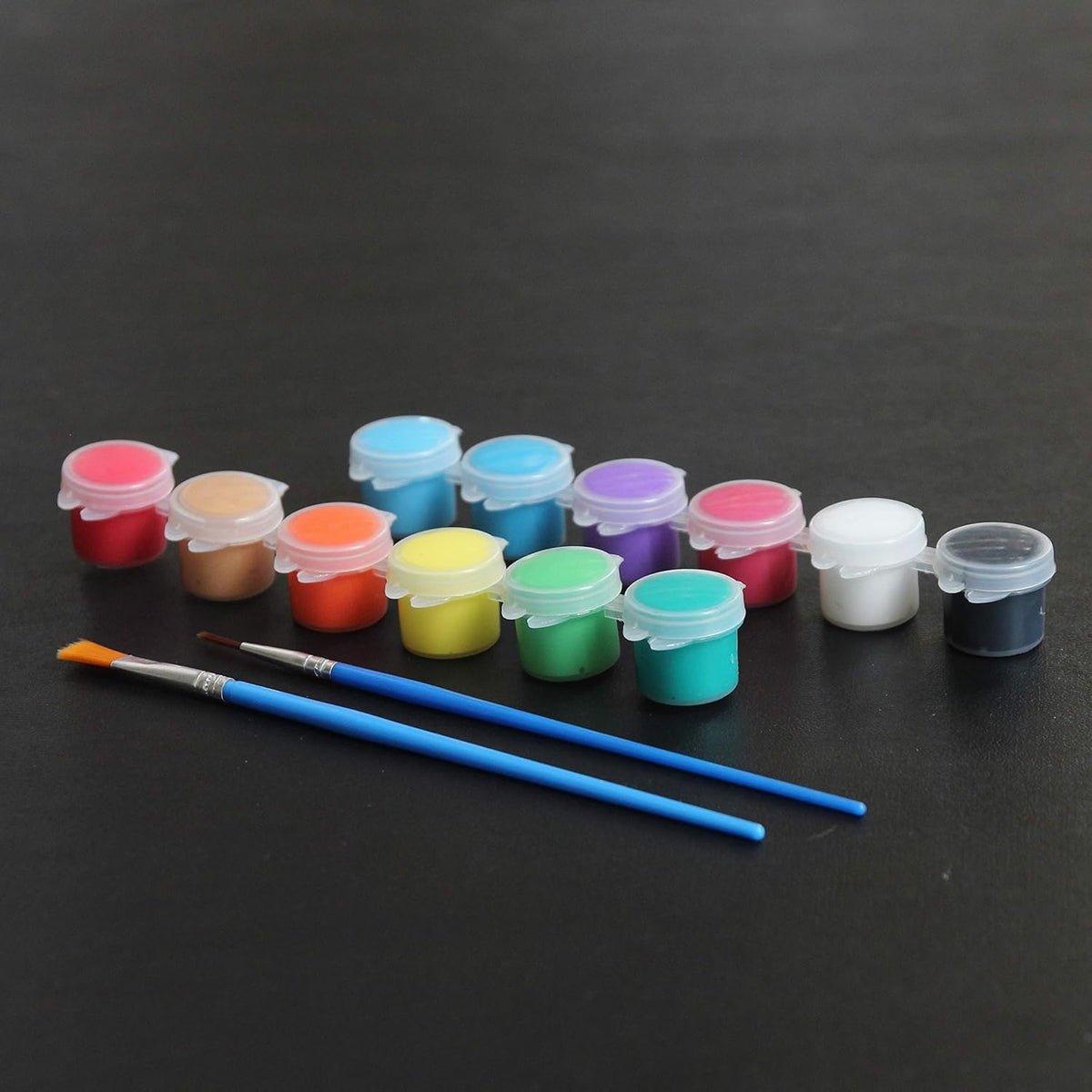 24 Pack Acrylic Paint Sets 12 Colors with 2 Brushes E436558