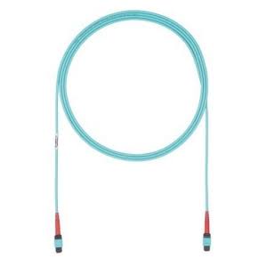 Fiber Optic Network Cable 55 ft V952