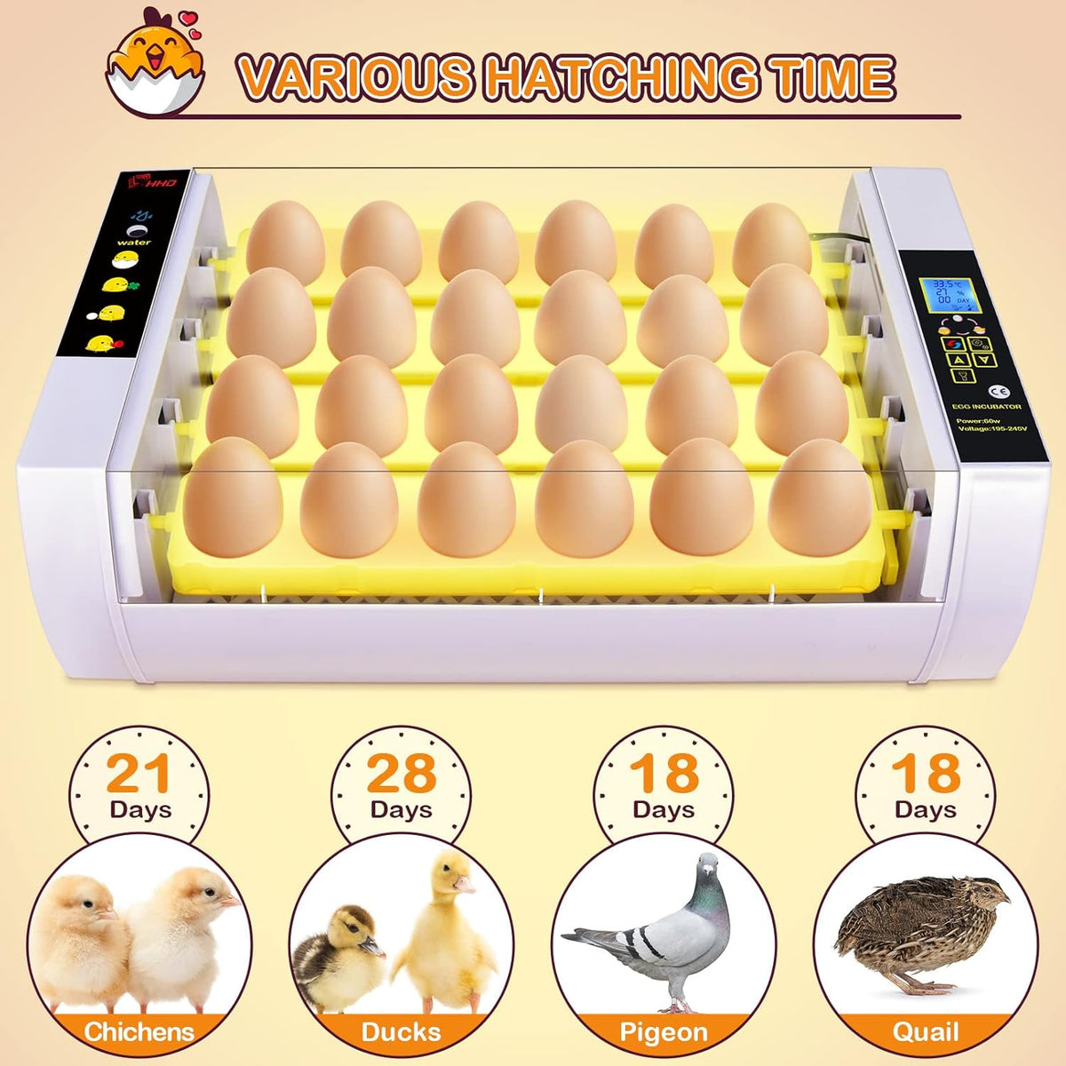 24 Eggs Incubator with Automatic Turning Temperature and Humidity Control Pack of 2 B2639