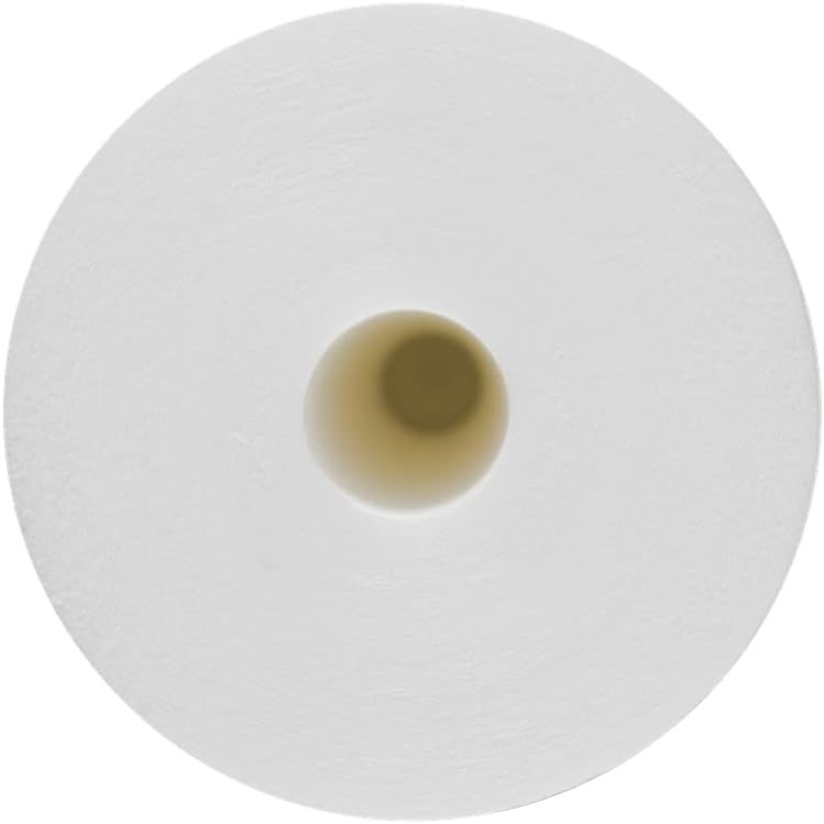 4-pack 5 Micron Sediment & CTO Carbon Block Water Filters T76444