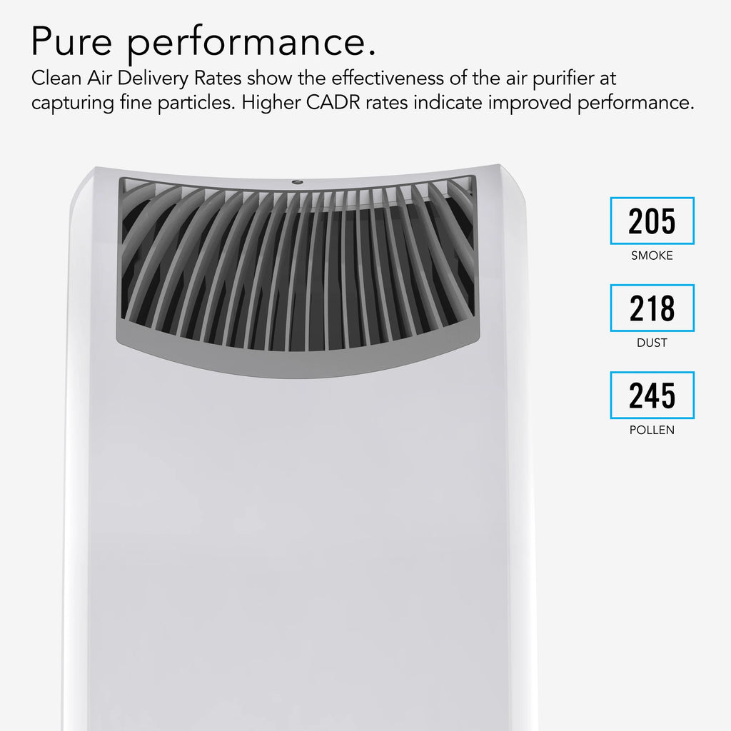 Whole Room True HEPA Air Purifier V715760