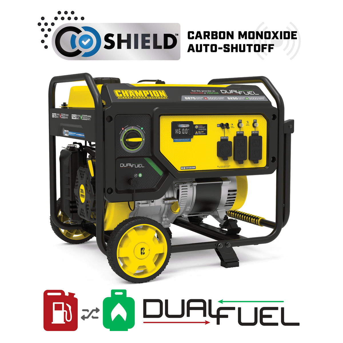 5500-Watt Dual Fuel Portable Generator D842780